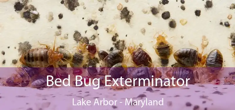 Bed Bug Exterminator Lake Arbor - Maryland