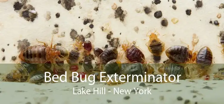 Bed Bug Exterminator Lake Hill - New York