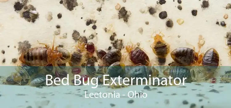 Bed Bug Exterminator Leetonia - Ohio