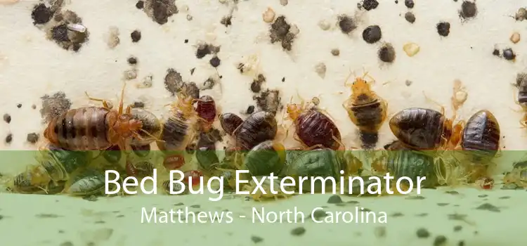 Bed Bug Exterminator Matthews - North Carolina