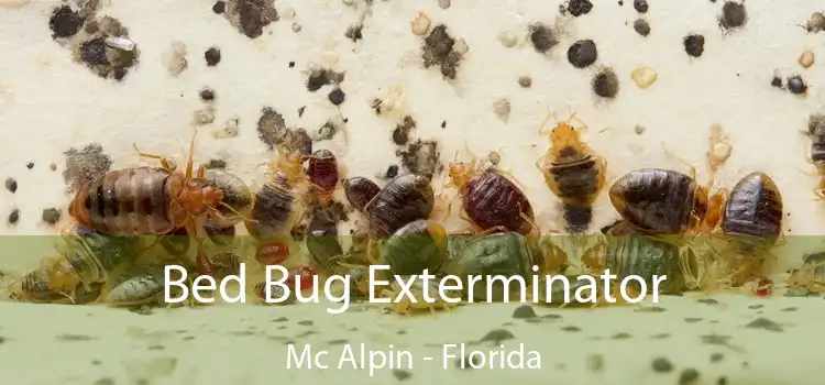 Bed Bug Exterminator Mc Alpin - Florida