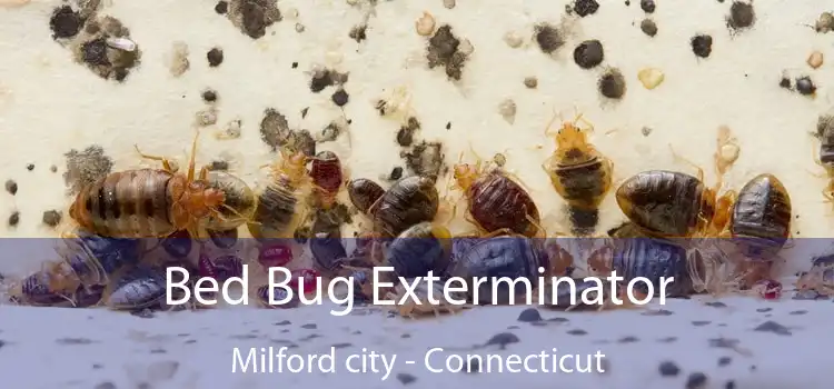 Bed Bug Exterminator Milford city - Connecticut