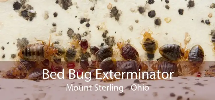 Bed Bug Exterminator Mount Sterling - Ohio