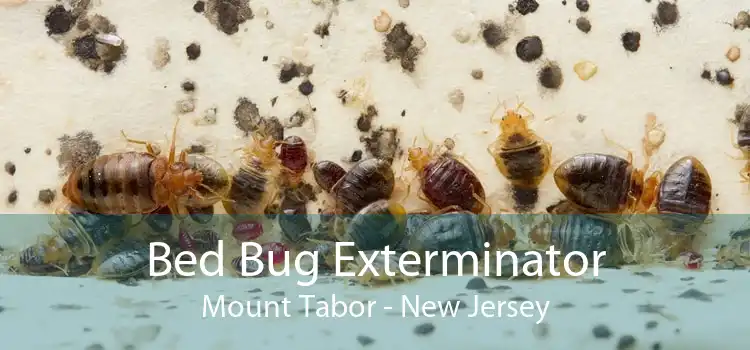 Bed Bug Exterminator Mount Tabor - New Jersey