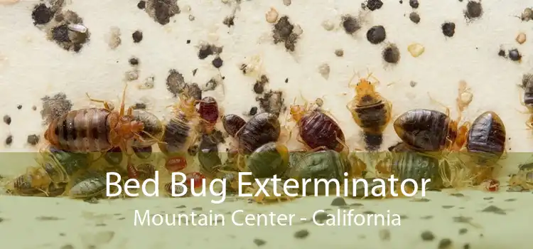 Bed Bug Exterminator Mountain Center - California