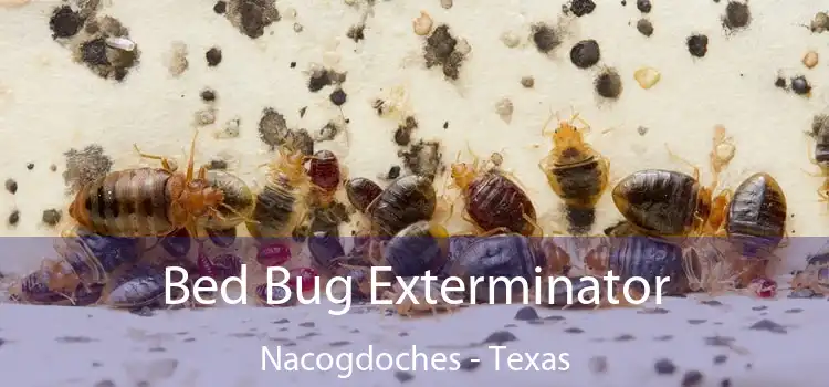 Bed Bug Exterminator Nacogdoches - Texas