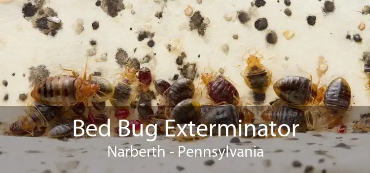 Bed Bug Exterminator Narberth - Pennsylvania