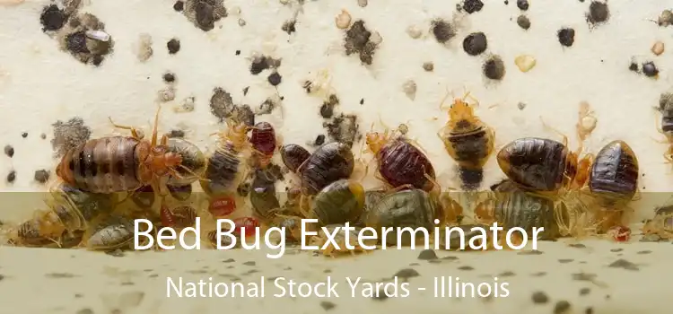 Bed Bug Exterminator National Stock Yards - Illinois