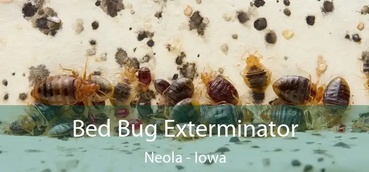 Bed Bug Exterminator Neola - Iowa