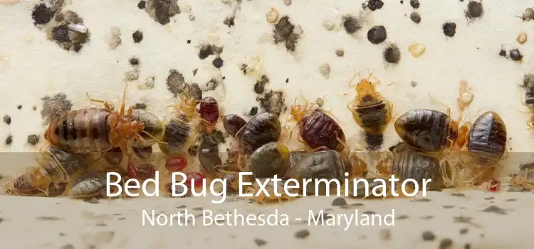 Bed Bug Exterminator North Bethesda - Maryland
