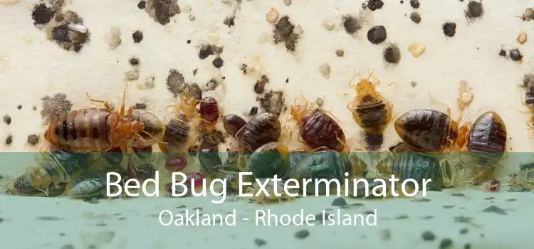 Bed Bug Exterminator Oakland - Rhode Island