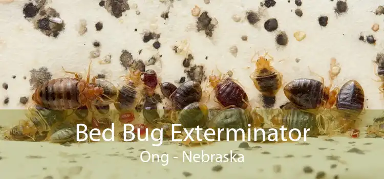 Bed Bug Exterminator Ong - Nebraska