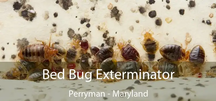 Bed Bug Exterminator Perryman - Maryland