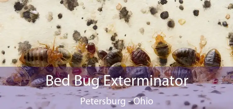 Bed Bug Exterminator Petersburg - Ohio