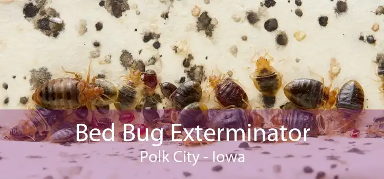 Bed Bug Exterminator Polk City - Iowa