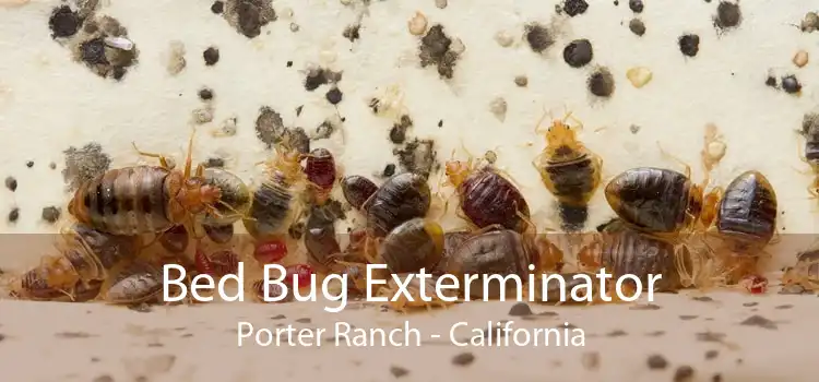 Bed Bug Exterminator Porter Ranch - California