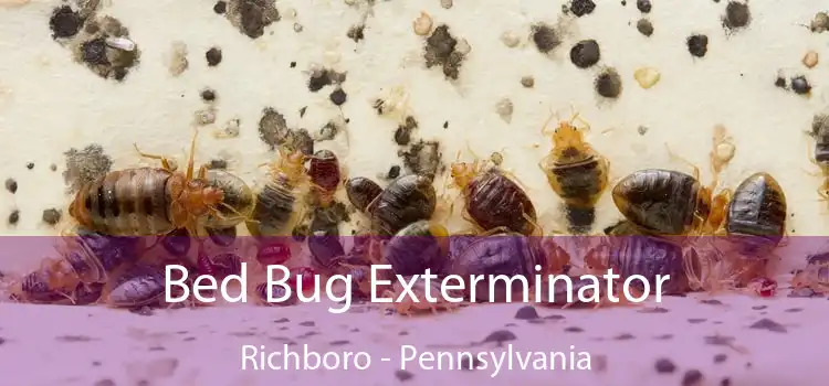 Bed Bug Exterminator Richboro - Pennsylvania