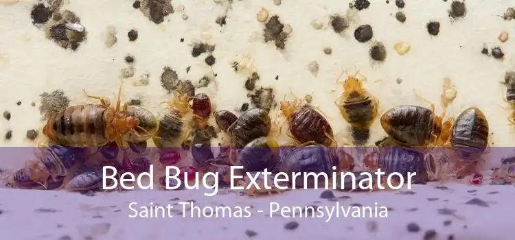 Bed Bug Exterminator Saint Thomas - Pennsylvania