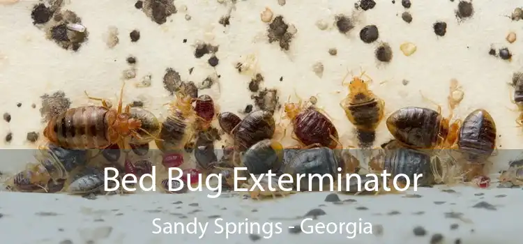 Bed Bug Exterminator Sandy Springs - Georgia