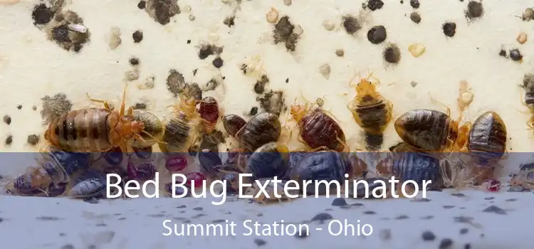 Bed Bug Exterminator Summit Station - Ohio