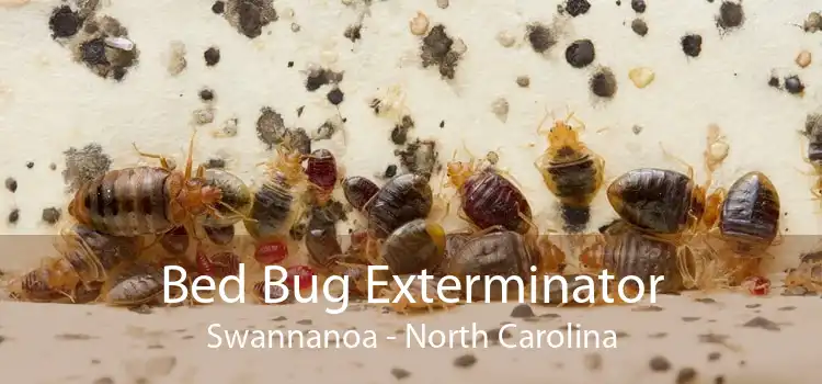 Bed Bug Exterminator Swannanoa - North Carolina