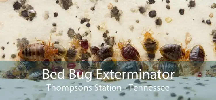 Bed Bug Exterminator Thompsons Station - Tennessee