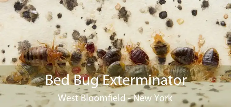 Bed Bug Exterminator West Bloomfield - New York