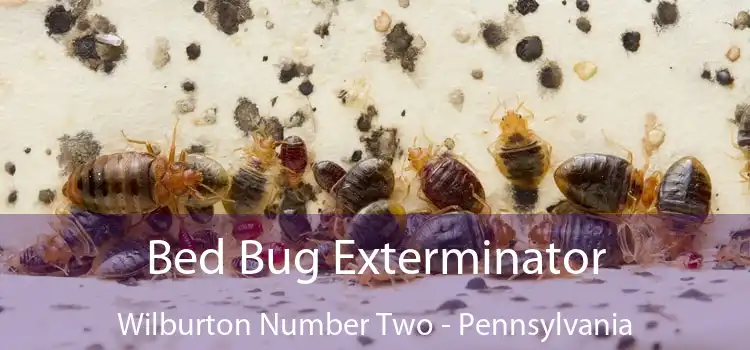 Bed Bug Exterminator Wilburton Number Two - Pennsylvania