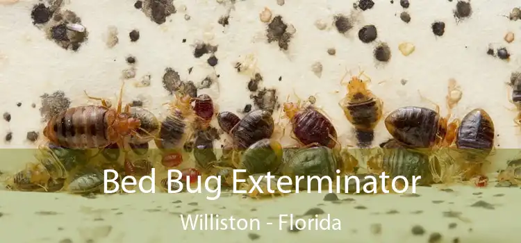 Bed Bug Exterminator Williston - Florida