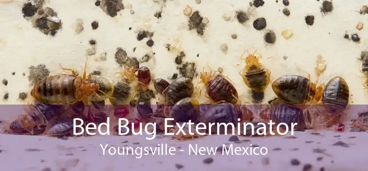 Bed Bug Exterminator Youngsville - New Mexico