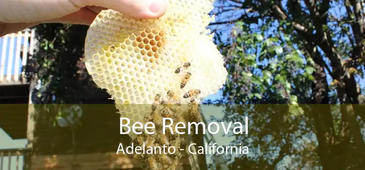 Bee Removal Adelanto - California