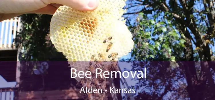 Bee Removal Alden - Kansas