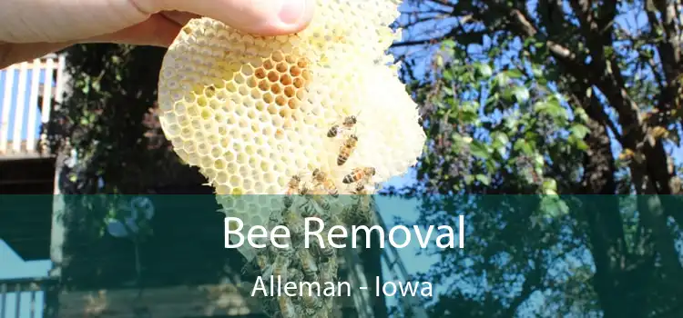 Bee Removal Alleman - Iowa