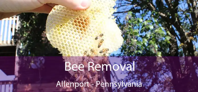 Bee Removal Allenport - Pennsylvania