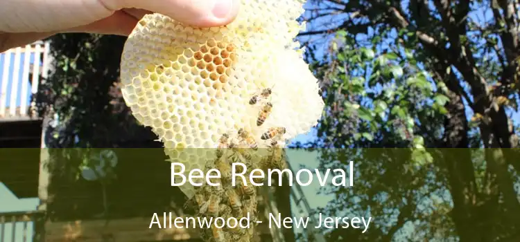 Bee Removal Allenwood - New Jersey