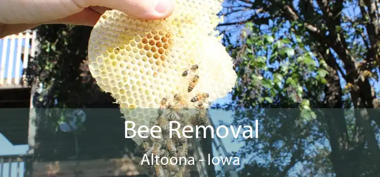 Bee Removal Altoona - Iowa