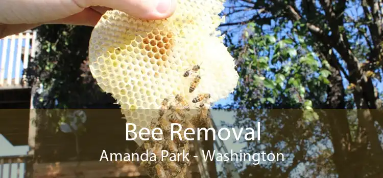 Bee Removal Amanda Park - Washington