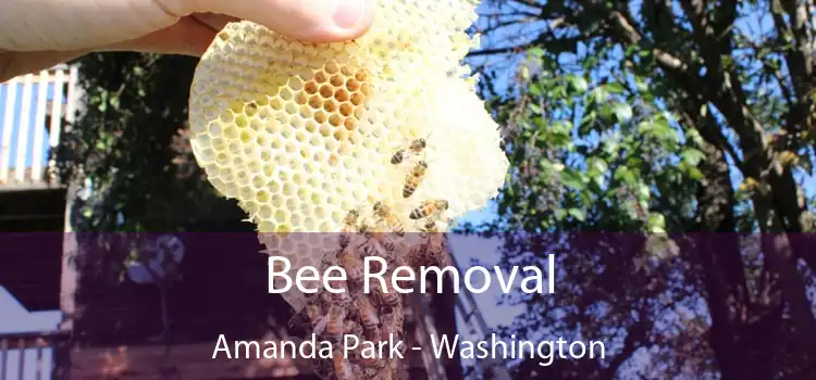 Bee Removal Amanda Park - Washington