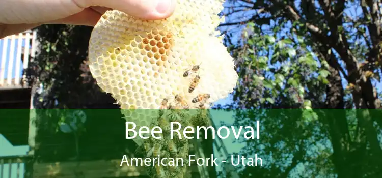 Bee Removal American Fork - Utah