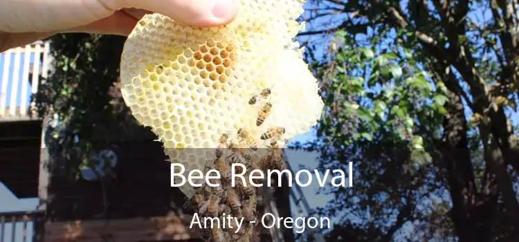 Bee Removal Amity - Oregon