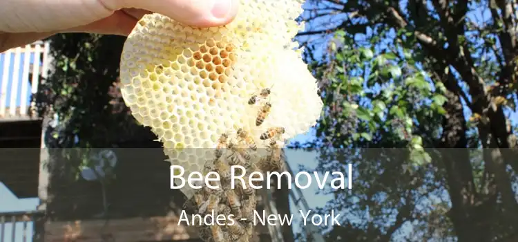 Bee Removal Andes - New York