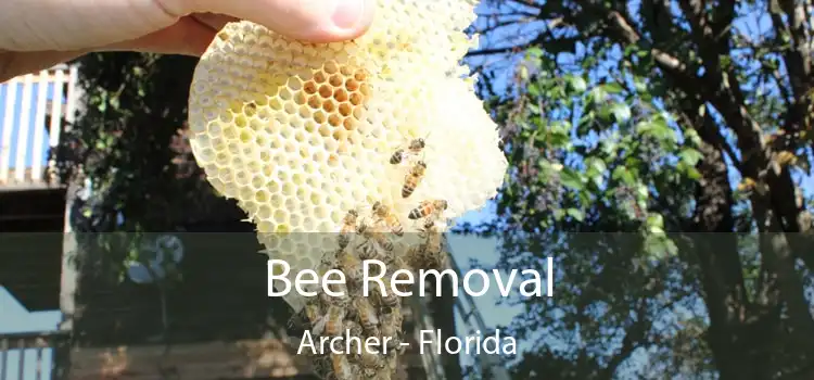 Bee Removal Archer - Florida