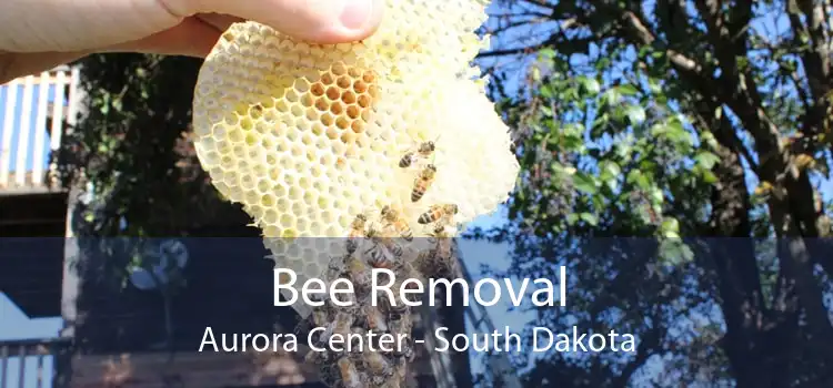 Bee Removal Aurora Center - South Dakota