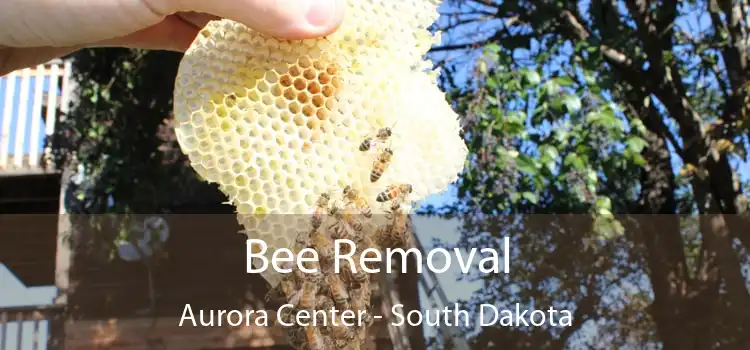 Bee Removal Aurora Center - South Dakota