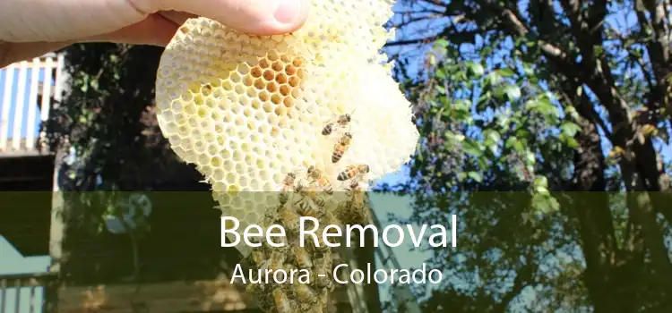 Bee Removal Aurora - Colorado