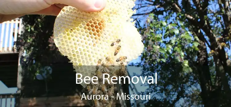 Bee Removal Aurora - Missouri