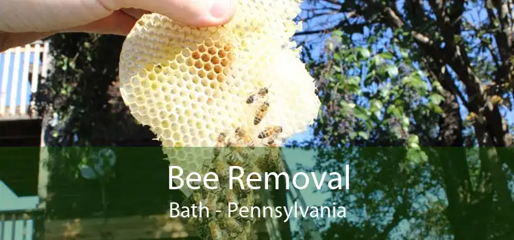 Bee Removal Bath - Pennsylvania