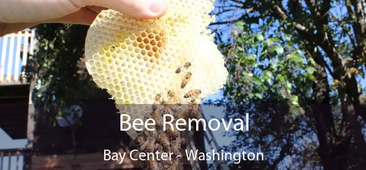 Bee Removal Bay Center - Washington