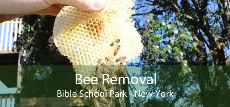 Bee Removal Bible School Park - New York