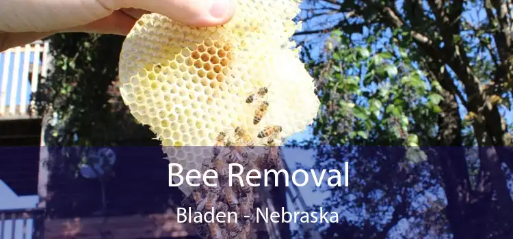 Bee Removal Bladen - Nebraska